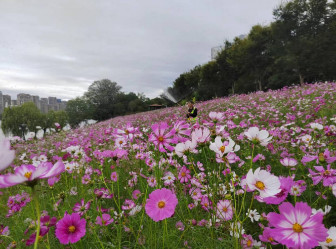 78652617.png image.png