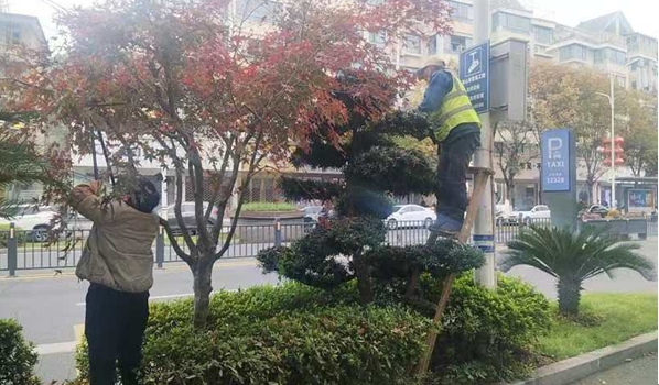 66024262.png 微信截圖_20241212183726.png