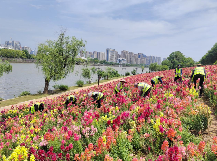 59025977.png image.png