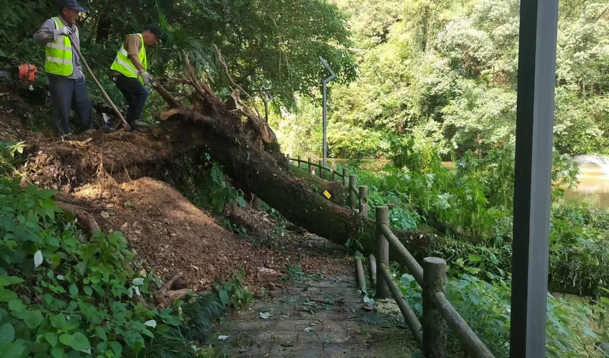 53196829.png 圖片1.png