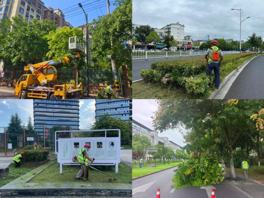 29550417.png 圖片6_副本.png